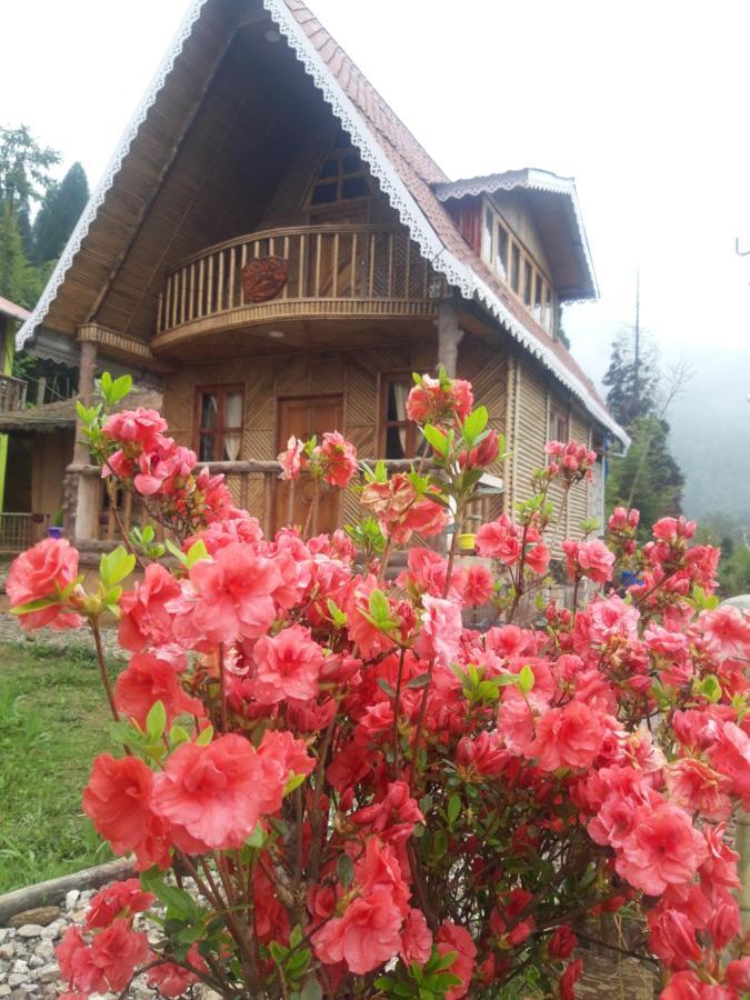 Spring Brooks Homestay Darjeeling  Dış mekan fotoğraf