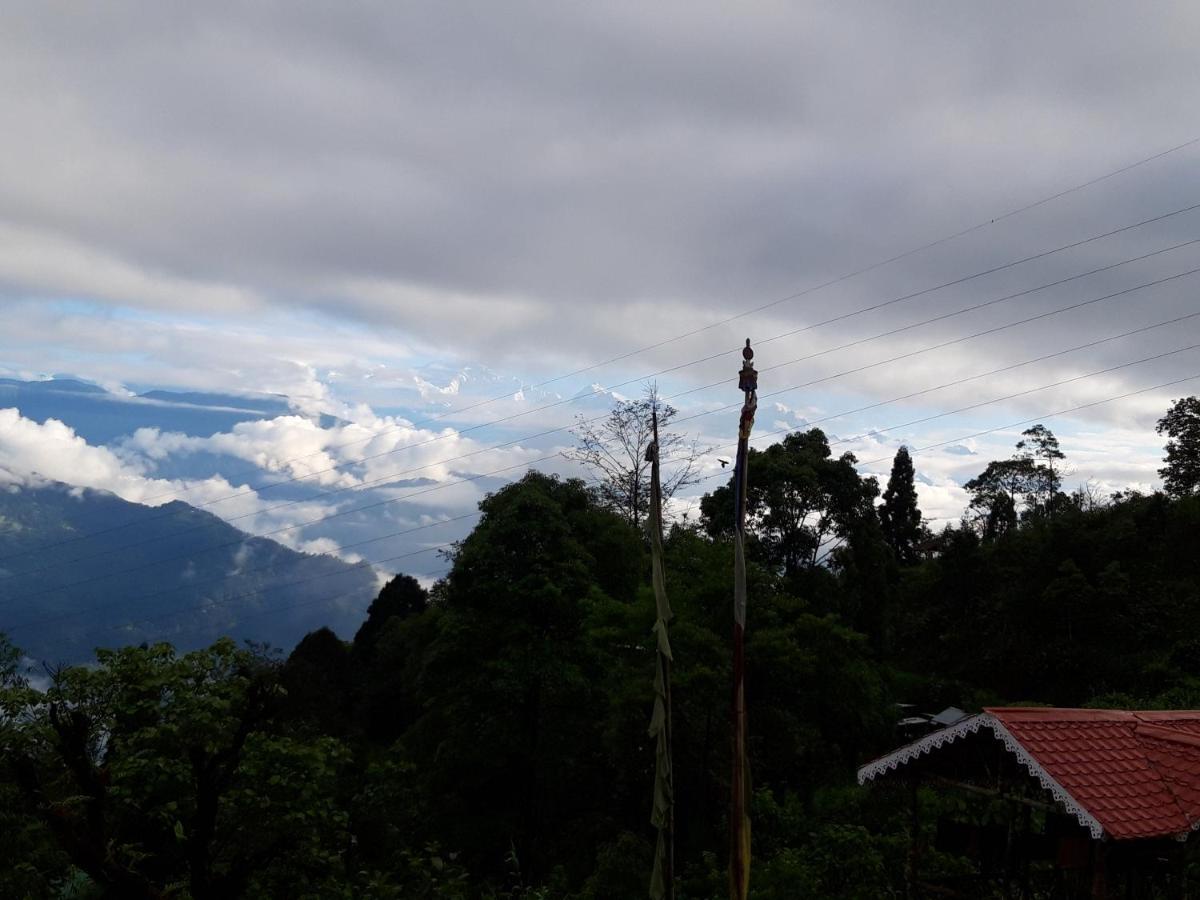 Spring Brooks Homestay Darjeeling  Dış mekan fotoğraf